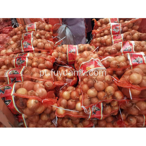 Cebola amarela fresca para a Tailândia